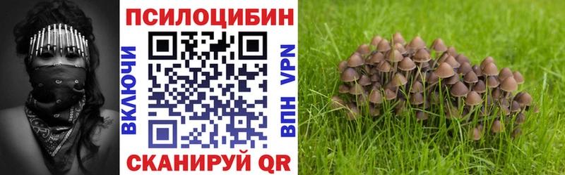 закладки  Лагань  Галлюциногенные грибы Cubensis 